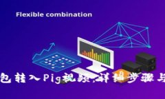 如何使用TP钱包转入Pig视频