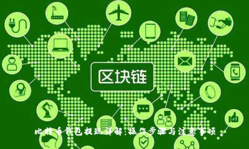 比特币钱包提现详解：操作步骤与注意事项