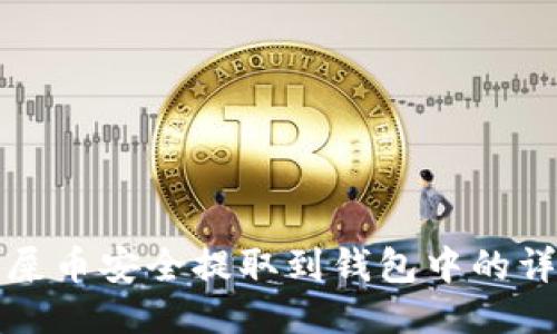 如何将屎币安全提取到钱包中的详细指南