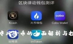 TP钱包中风险币的全面解析