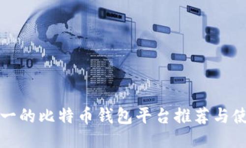 排名第一的比特币钱包平台推荐与使用指南