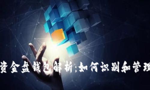比特币最大资金盘钱包解析：如何识别和管理高价值钱包