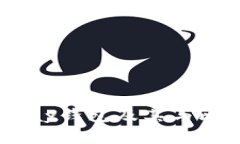 深入了解Bpay钱包及其与比