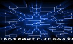如何使用TP钱包查询地址资产：详细指南与常见问