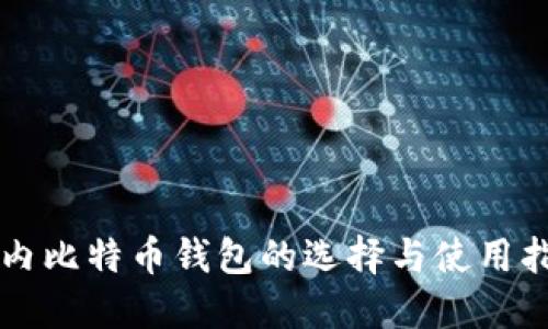 国内比特币钱包的选择与使用指南