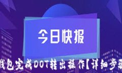 如何使用TP钱包完成DOT转出操作？详细步骤与注意