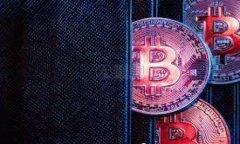 如何在TP钱包中找到观察钱包的步骤与技巧