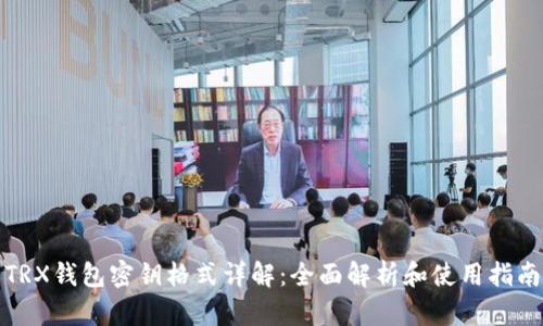 TRX钱包密钥格式详解：全面解析和使用指南