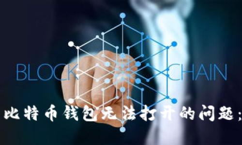 如何解决比特币钱包无法打开的问题：全面指南
