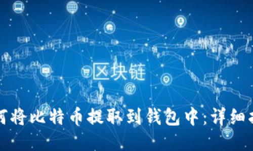 如何将比特币提取到钱包中：详细指南