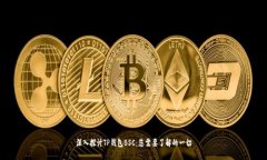 深入探讨TP钱包BSC：您需要
