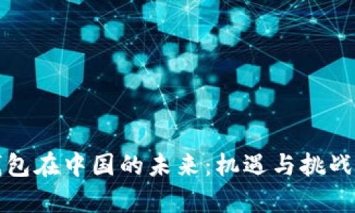 TP钱包在中国的未来：机遇与挑战分析