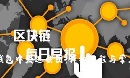 如何在TP钱包中发送截图：详细教程与常见问题解答