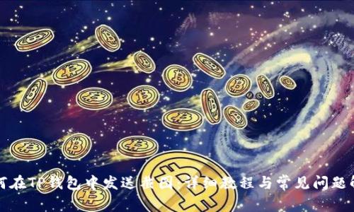 如何在TP钱包中发送截图：详细教程与常见问题解答