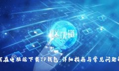 如何在电脑端下载TP钱包：详细指南与常见问题解