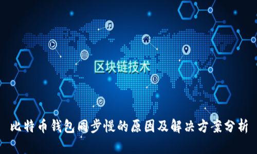 比特币钱包同步慢的原因及解决方案分析