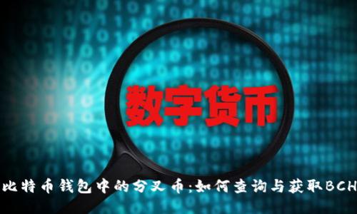 比特币钱包中的分叉币：如何查询与获取BCH
