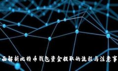 全面解析比特币钱包资金