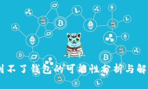 USDT到不了钱包的可能性分析与解决方案