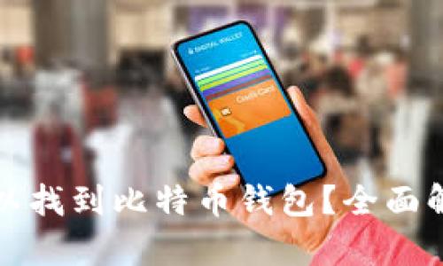 在哪里可以找到比特币钱包？全面解析与推荐