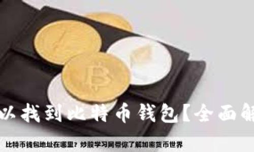 在哪里可以找到比特币钱包？全面解析与推荐
