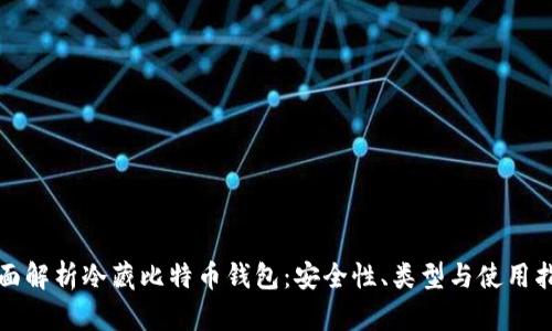 全面解析冷藏比特币钱包：安全性、类型与使用指南