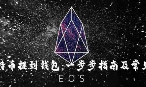 如何将比特币提到钱包：一步步指南及常见问题解答