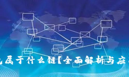 TP钱包属于什么链？全面解析与应用场景