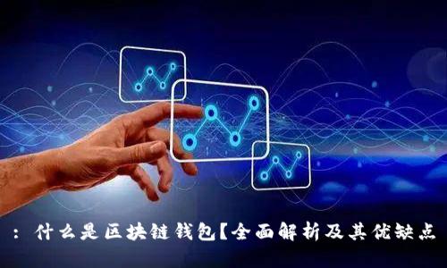 : 什么是区块链钱包？全面解析及其优缺点