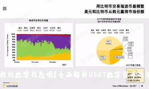 USDT可以提到数字钱包吗？全面解析USDT数字货币的使用与转账