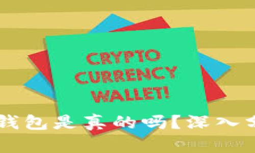 百度下载的TP钱包是真的吗？深入分析与使用指南