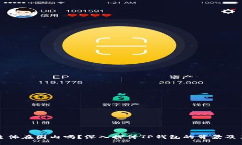 TP钱包的主体在国内吗？深入探讨TP钱包的背景及其运营模式