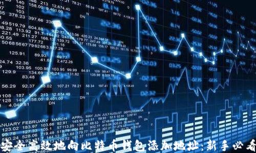 
如何安全高效地向比特币钱包添加地址：新手必看指南