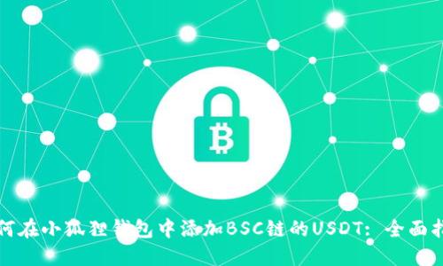 如何在小狐狸钱包中添加BSC链的USDT: 全面指南