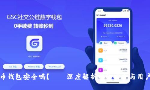 比特币钱包安全吗？——深度解析网络安全与用户保护