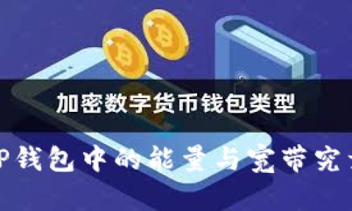 深度解析：TP钱包中的能量与宽带究竟代表什么？
