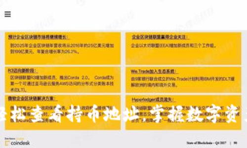 TP钱包如何轻松查看持币地址，掌握数字资产管理新技能