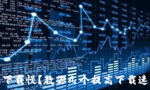   
比特币钱包下载慢？教你几个提高下载速度的小技巧