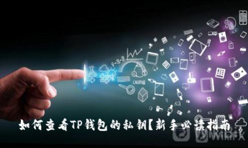 如何查看TP钱包的私钥？新手必读指南
