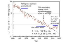 建立比特币钱包步骤：轻
