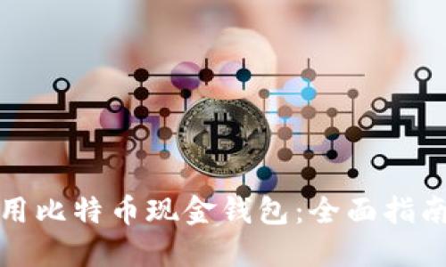 如何高效使用比特币现金钱包：全面指南与实用技巧
