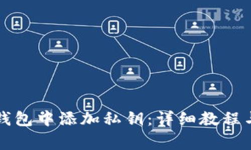 如何在TP钱包中添加私钥：详细教程与注意事项