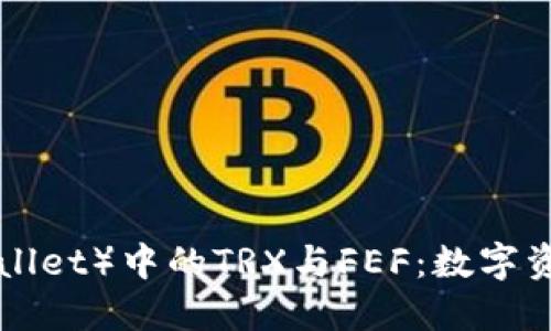 波场钱包（Tron Wallet）中的TRX与FEF：数字资产投资的完美搭档