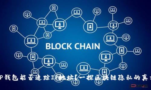 TP钱包能否追踪IP地址？一探区块链隐私的真相