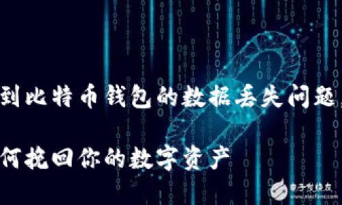 这是一个用户可以搜索的，它涉及到比特币钱包的数据丢失问题，同时包含了流行的金融科技术语：

比特币钱包数据丢失解决方案：如何挽回你的数字资产