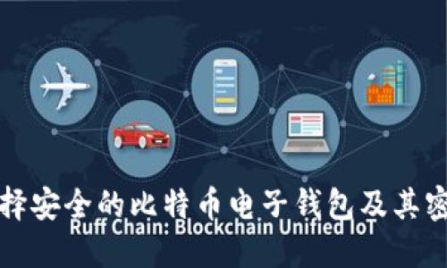 如何选择安全的比特币电子钱包及其密保技巧