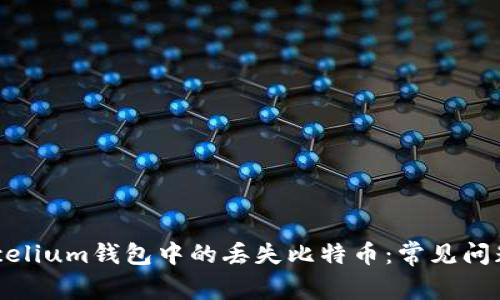 如何恢复Mycelium钱包中的丢失比特币：常见问题及解决方案