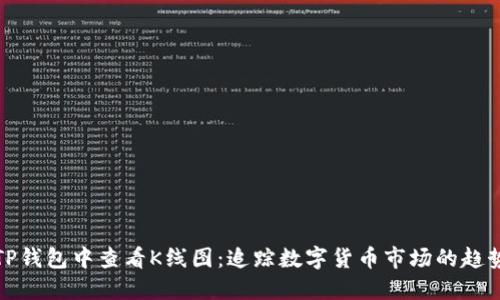 如何在TP钱包中查看K线图：追踪数字货币市场的趋势与动态