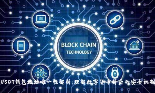 USDT钱包地址唯一性解析：理解数字货币背后的安全机制