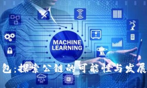 TP钱包：探索公链的可能性与发展前景